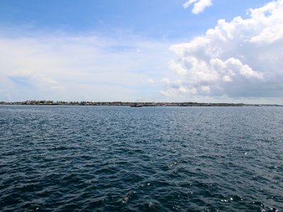 IMG 4670