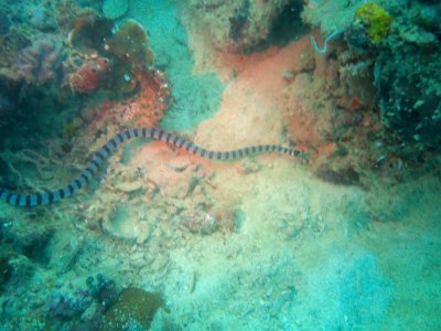 PB220105