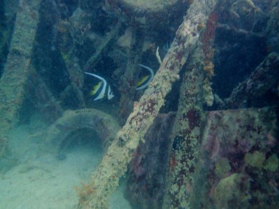 PB220125