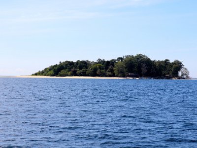 IMG 4689