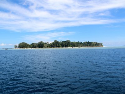 IMG 4690