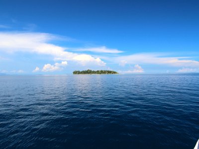 IMG 4693