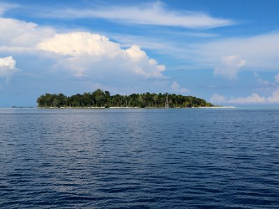 IMG 4694