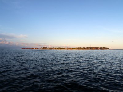 IMG 4695