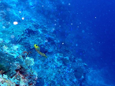 PB220195