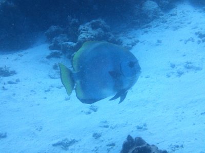 PB230164