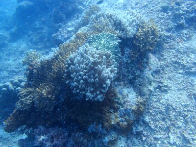 PB230168