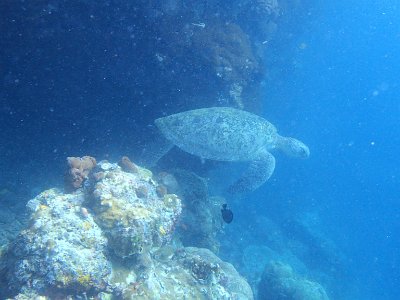 PB230249