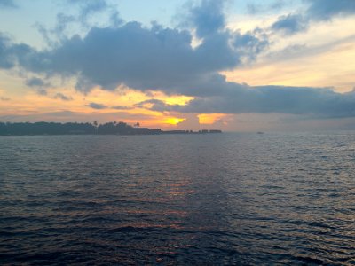 IMG 4717