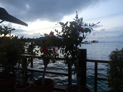 IMG 4729