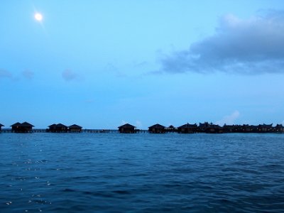 IMG 4734