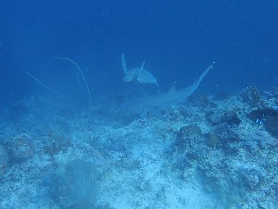 PB230326