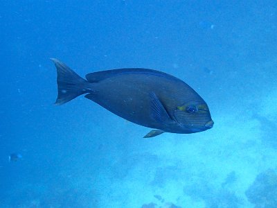 PB230391