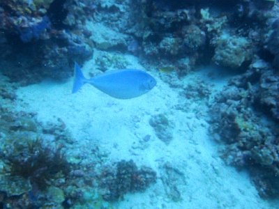 PB230392