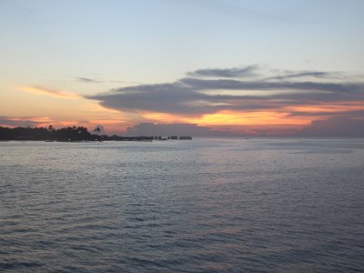 IMG 4770