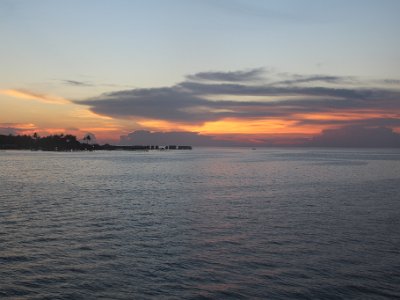 IMG 4771