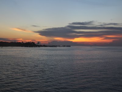IMG 4772