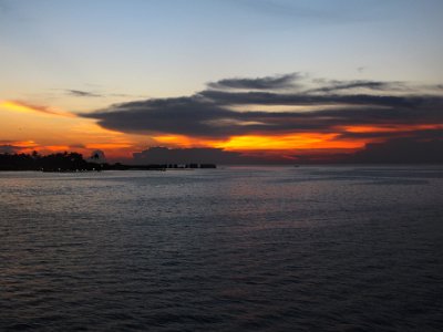 IMG 4775