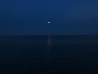 IMG 4779