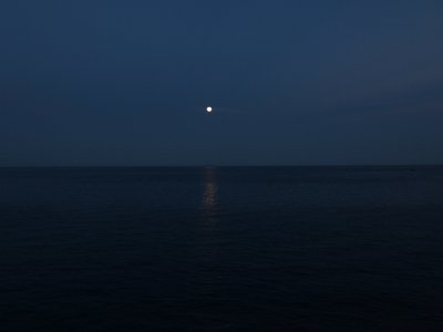 IMG 4780
