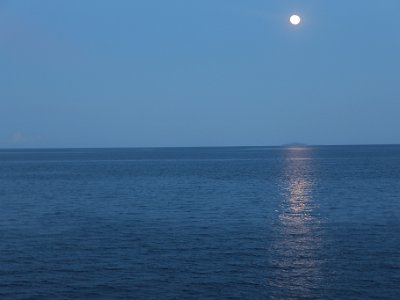 IMG 4785