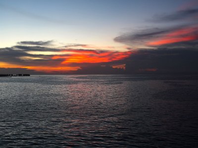 IMG 4799