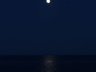 IMG 4800