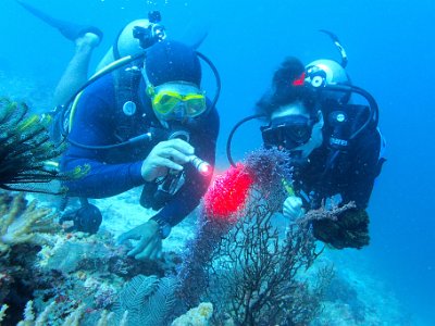 PB250529