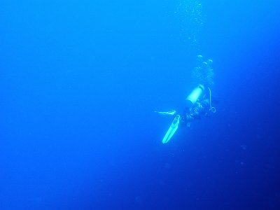 PB260443