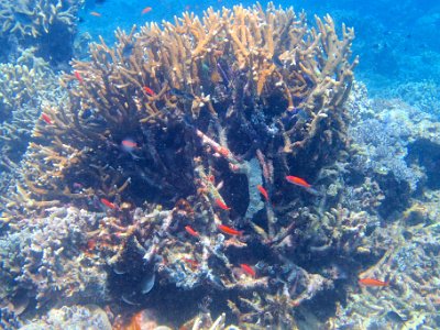 PB260587
