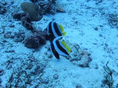 PB260647