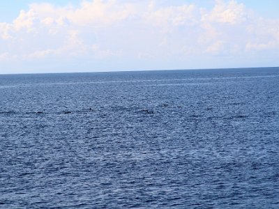 IMG 4870