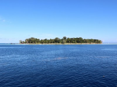 IMG 4879