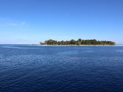 IMG 4880