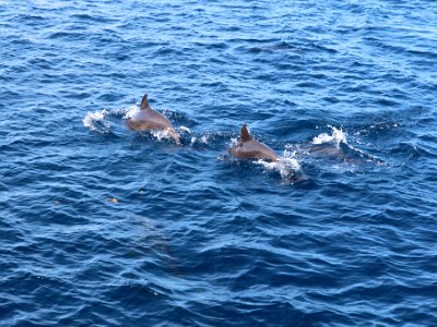 IMG 4891