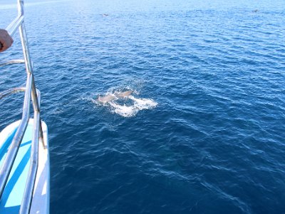 IMG 4896