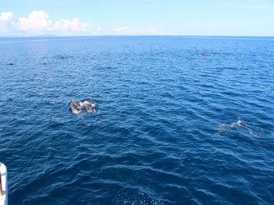 IMG 4897