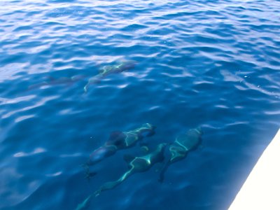 IMG 4939