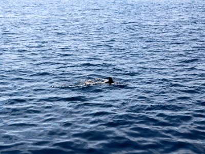 IMG 4940