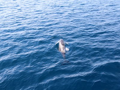 IMG 4941