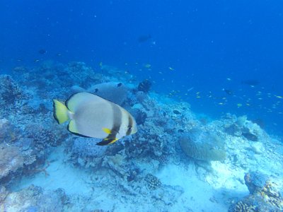 PB270782