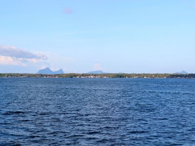 IMG 4968