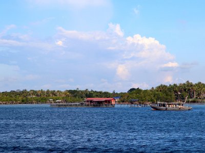 IMG 4973