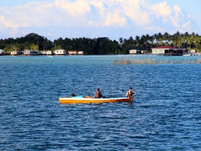 IMG 4982