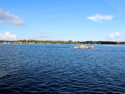 IMG 4985