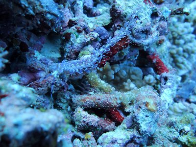 PB280880