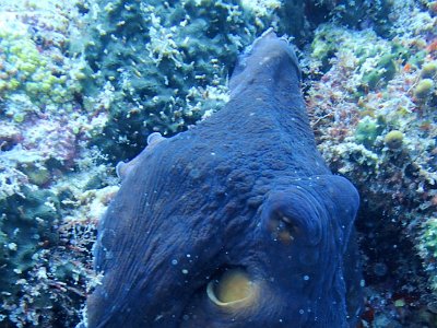 PB280940