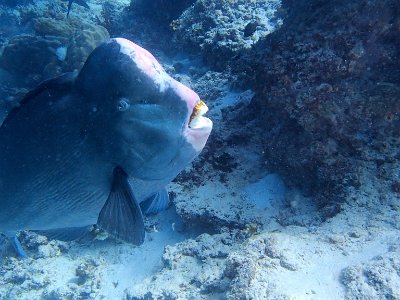 PB280945
