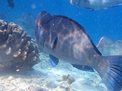 PB280961